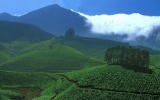 Mountains